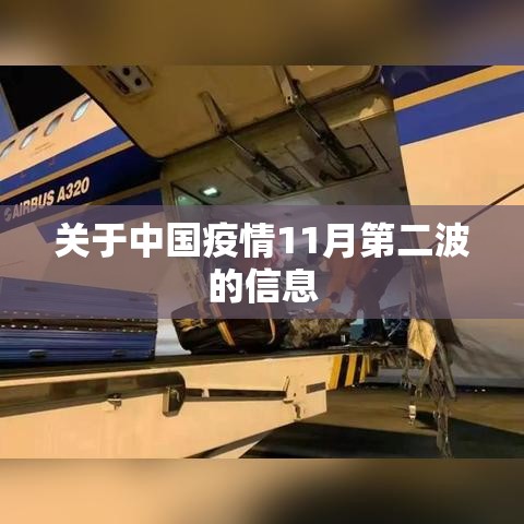 关于中国疫情11月第二波的信息