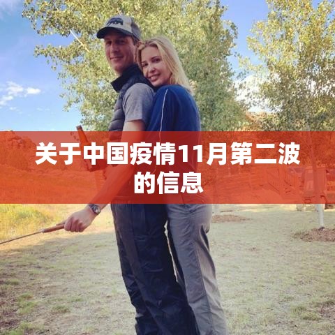 关于中国疫情11月第二波的信息