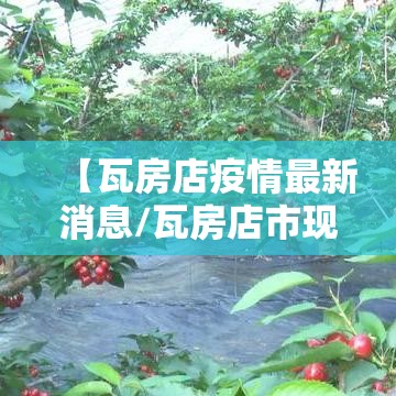 【瓦房店疫情最新消息/瓦房店市现在疫情】
