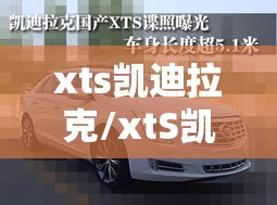 xts凯迪拉克/xtS凯迪拉克2025款