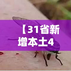 【31省新增本土40例广西30例/广西新增7例详情】