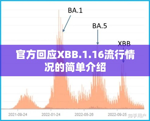 官方回应XBB.1.16流行情况的简单介绍