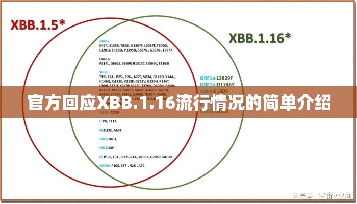 官方回应XBB.1.16流行情况的简单介绍