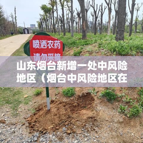山东烟台新增一处中风险地区（烟台中风险地区在哪个区）