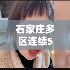 石家庄多区连续5天全员核检:石家庄全员核酸检测时间安排