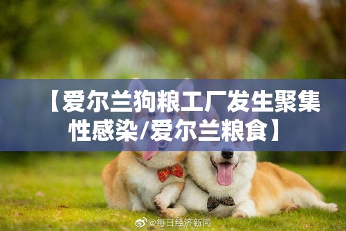 【爱尔兰狗粮工厂发生聚集性感染/爱尔兰粮食】