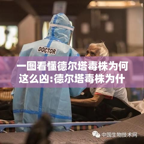 一图看懂德尔塔毒株为何这么凶:德尔塔毒株为什么这么凶