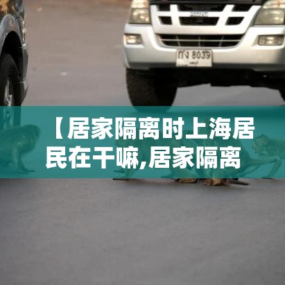 【居家隔离时上海居民在干嘛,居家隔离上海要求】