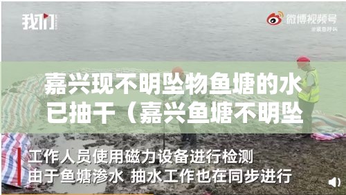 嘉兴现不明坠物鱼塘的水已抽干（嘉兴鱼塘不明坠物结果）