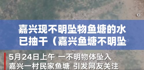 嘉兴现不明坠物鱼塘的水已抽干（嘉兴鱼塘不明坠物结果）