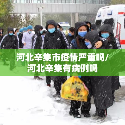 河北辛集市疫情严重吗/河北辛集有病例吗