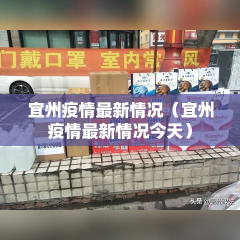宜州疫情最新情况（宜州疫情最新情况今天）