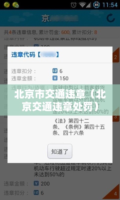 北京市交通违章（北京交通违章处罚）