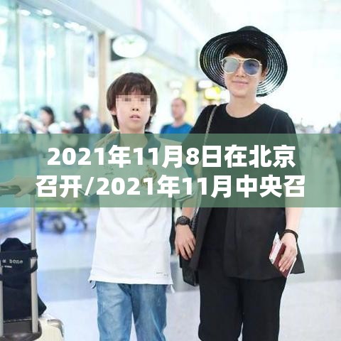 2021年11月8日在北京召开/2021年11月中央召开