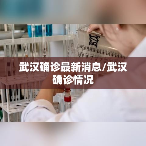 武汉确诊最新消息/武汉确诊情况