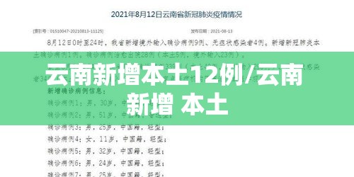 云南新增本土12例/云南 新增 本土