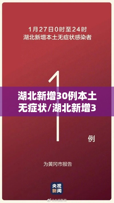 湖北新增30例本土无症状/湖北新增30例本土无症状病例