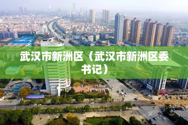 武汉市新洲区（武汉市新洲区委书记）