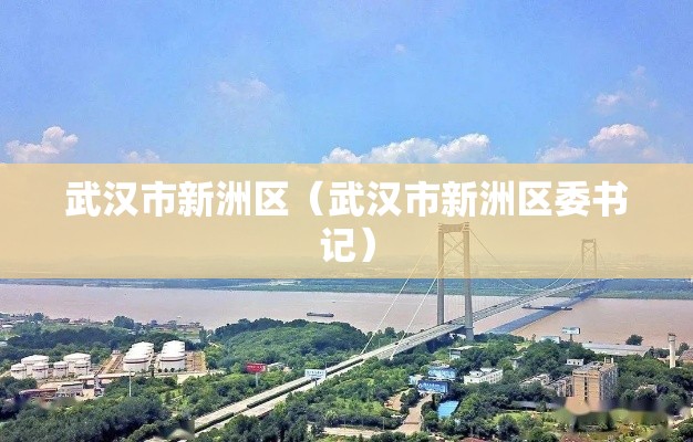 武汉市新洲区（武汉市新洲区委书记）