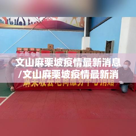 文山麻栗坡疫情最新消息/文山麻栗坡疫情最新消息新闻