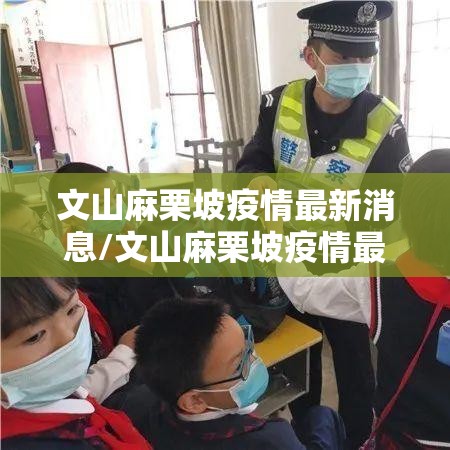 文山麻栗坡疫情最新消息/文山麻栗坡疫情最新消息新闻