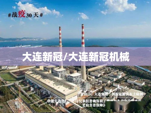 大连新冠/大连新冠机械