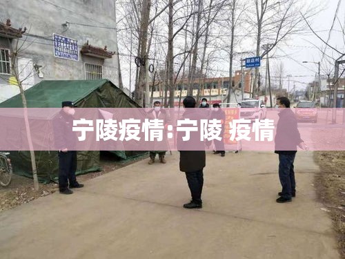 宁陵疫情:宁陵 疫情