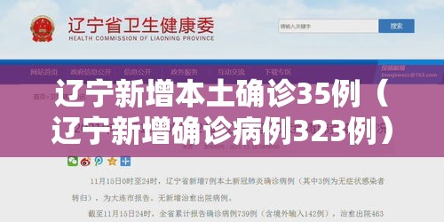 辽宁新增本土确诊35例（辽宁新增确诊病例323例）