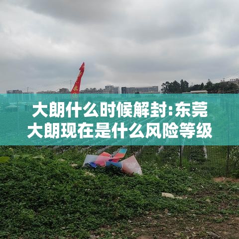 大朗什么时候解封:东莞大朗现在是什么风险等级