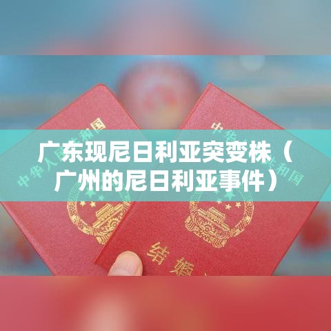 广东现尼日利亚突变株（广州的尼日利亚事件）