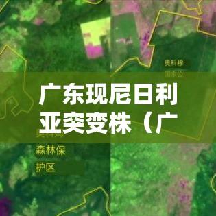 广东现尼日利亚突变株（广州的尼日利亚事件）