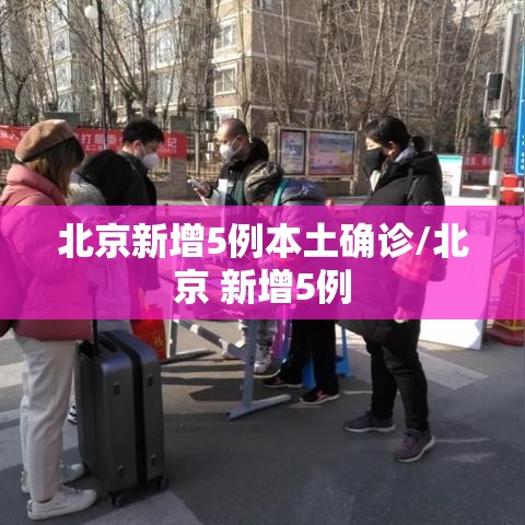 北京新增5例本土确诊/北京 新增5例