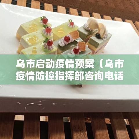 乌市启动疫情预案（乌市疫情防控指挥部咨询电话）