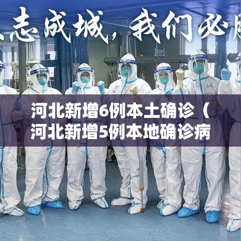 河北新增6例本土确诊（河北新增5例本地确诊病例）