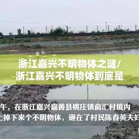 浙江嘉兴不明物体之谜/浙江嘉兴不明物体到底是什么