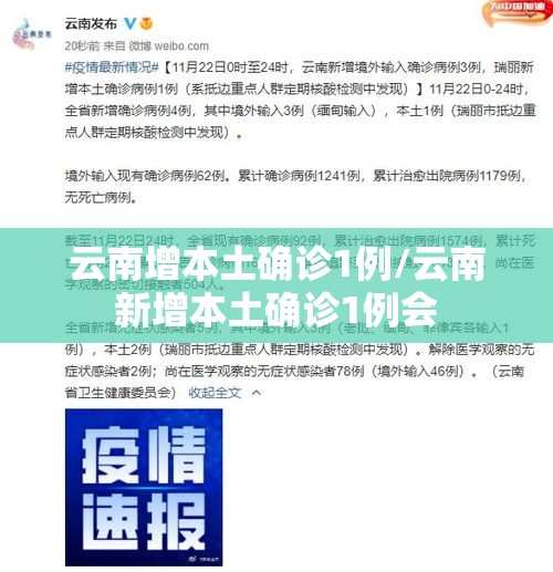 云南增本土确诊1例/云南新增本土确诊1例会