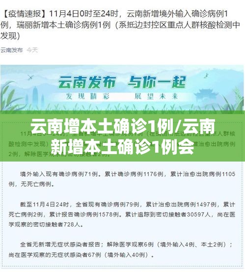 云南增本土确诊1例/云南新增本土确诊1例会