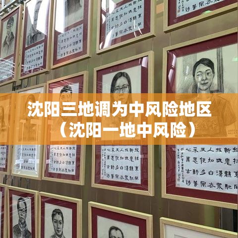 沈阳三地调为中风险地区（沈阳一地中风险）