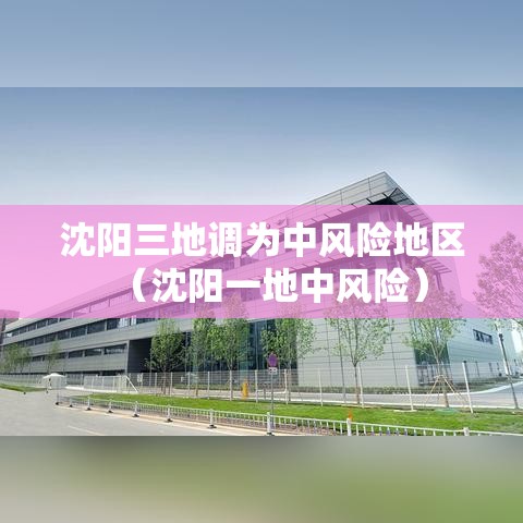 沈阳三地调为中风险地区（沈阳一地中风险）