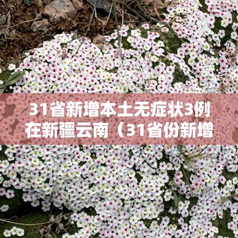 31省新增本土无症状3例在新疆云南（31省份新增29例本土病例 20例在新疆）