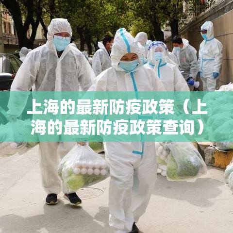 上海的最新防疫政策（上海的最新防疫政策查询）
