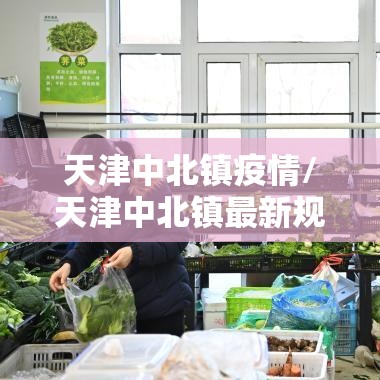 天津中北镇疫情/天津中北镇最新规划