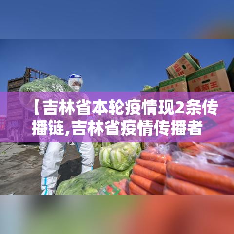 【吉林省本轮疫情现2条传播链,吉林省疫情传播者】