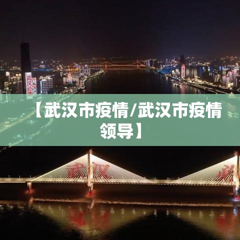【武汉市疫情/武汉市疫情领导】