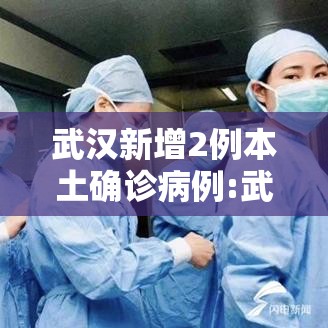 武汉新增2例本土确诊病例:武汉新增2例确诊病例轨迹