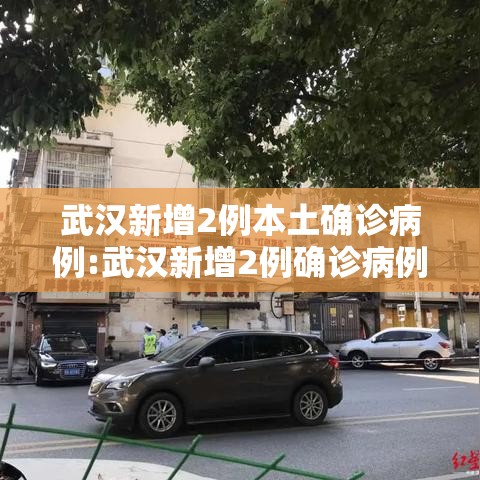 武汉新增2例本土确诊病例:武汉新增2例确诊病例轨迹 武汉新增2例本土确诊病例:武汉新增2例确诊病例轨迹