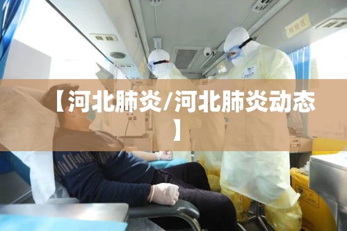 【河北肺炎/河北肺炎动态】