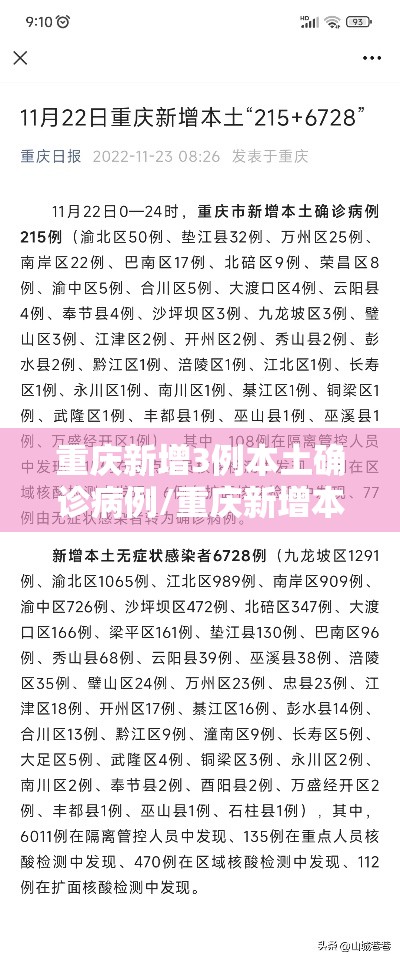 重庆新增3例本土确诊病例/重庆新增本土确诊2例