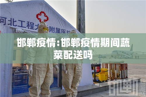 邯郸疫情:邯郸疫情期间蔬菜配送吗