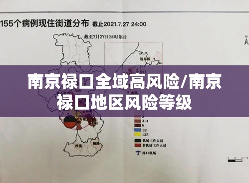 南京禄口全域高风险/南京禄口地区风险等级